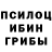 Галлюциногенные грибы ЛСД Vlad Mitrakov