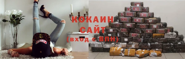 МДПВ Долгопрудный