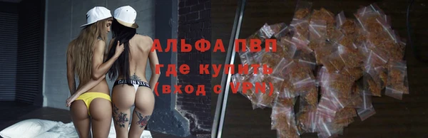 МДПВ Долгопрудный
