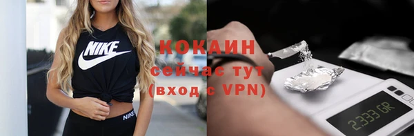 МДПВ Долгопрудный