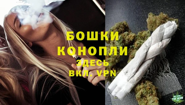 МДПВ Долгопрудный